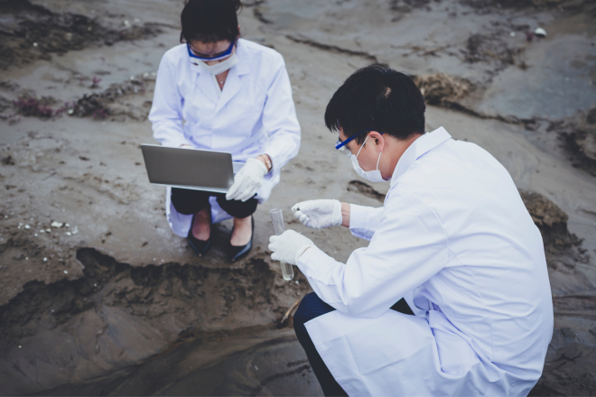 WordPress Images_Feature (39)